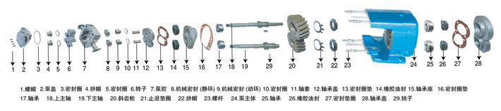 LQ系列衛(wèi)生級(jí)凸輪轉(zhuǎn)子泵轉(zhuǎn)子的形式